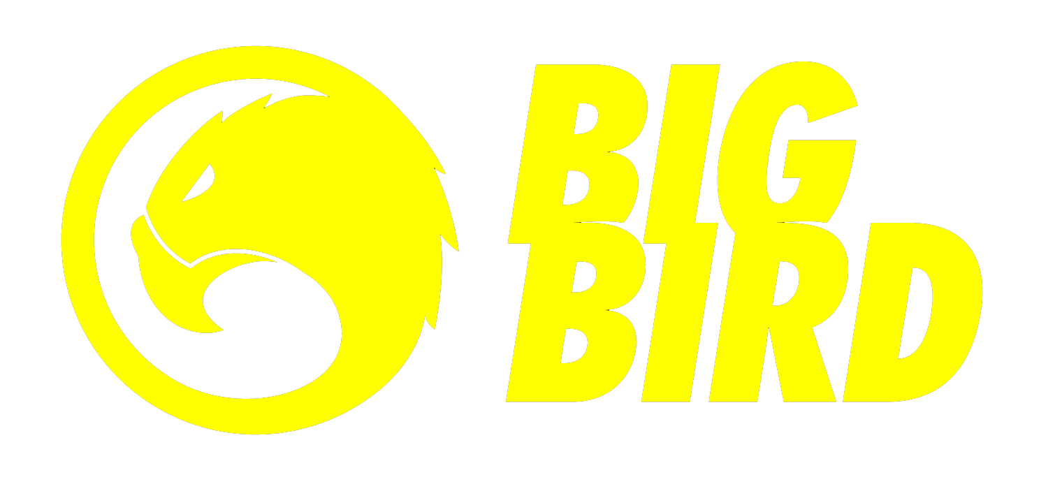 Big Bird